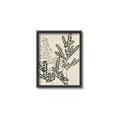 Picture of Shadow Botanical I  _GroupedProduct_Rectangle_Portrait_Canvas_Framed_