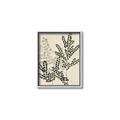 Picture of Shadow Botanical I  _GroupedProduct_Rectangle_Portrait_Canvas_Framed_