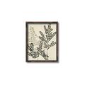 Picture of Shadow Botanical I  _GroupedProduct_Rectangle_Portrait_Canvas_Framed_