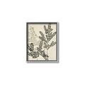Picture of Shadow Botanical I  _GroupedProduct_Rectangle_Portrait_Canvas_Framed_
