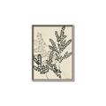 Picture of Shadow Botanical I  _GroupedProduct_Rectangle_Portrait_Canvas_Framed_