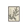 Picture of Shadow Botanical I  _GroupedProduct_Rectangle_Portrait_Canvas_Framed_