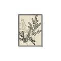 Picture of Shadow Botanical I  _GroupedProduct_Rectangle_Portrait_Canvas_Framed_
