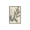 Picture of Shadow Botanical I  _GroupedProduct_Rectangle_Portrait_Canvas_Framed_