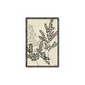 Picture of Shadow Botanical I  _GroupedProduct_Rectangle_Portrait_Canvas_Framed_