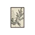 Picture of Shadow Botanical I  _GroupedProduct_Rectangle_Portrait_Canvas_Framed_