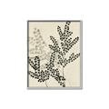 Picture of Shadow Botanical I  _GroupedProduct_Rectangle_Portrait_Canvas_Framed_