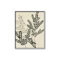 Picture of Shadow Botanical I  _GroupedProduct_Rectangle_Portrait_Canvas_Framed_