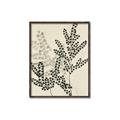 Picture of Shadow Botanical I  _GroupedProduct_Rectangle_Portrait_Canvas_Framed_