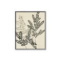Picture of Shadow Botanical I  _GroupedProduct_Rectangle_Portrait_Canvas_Framed_