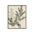 Picture of Shadow Botanical I  _GroupedProduct_Rectangle_Portrait_Canvas_Framed_