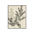 Picture of Shadow Botanical I  _GroupedProduct_Rectangle_Portrait_Canvas_Framed_