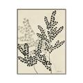 Picture of Shadow Botanical I  _GroupedProduct_Rectangle_Portrait_Canvas_Framed_