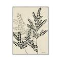 Picture of Shadow Botanical I  _GroupedProduct_Rectangle_Portrait_Canvas_Framed_