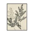 Picture of Shadow Botanical I  _GroupedProduct_Rectangle_Portrait_Canvas_Framed_