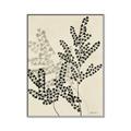 Picture of Shadow Botanical I  _GroupedProduct_Rectangle_Portrait_Canvas_Framed_