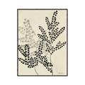 Picture of Shadow Botanical I  _GroupedProduct_Rectangle_Portrait_Canvas_Framed_