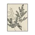 Picture of Shadow Botanical I  _GroupedProduct_Rectangle_Portrait_Canvas_Framed_