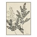 Picture of Shadow Botanical I  _GroupedProduct_Rectangle_Portrait_Canvas_Framed_