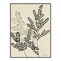Picture of Shadow Botanical I  _GroupedProduct_Rectangle_Portrait_Canvas_Framed_