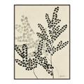 Picture of Shadow Botanical I  _GroupedProduct_Rectangle_Portrait_Canvas_Framed_