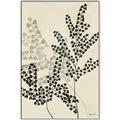 Picture of Shadow Botanical I  _GroupedProduct_Rectangle_Portrait_Canvas_Framed_