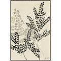 Picture of Shadow Botanical I  _GroupedProduct_Rectangle_Portrait_Canvas_Framed_