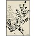 Picture of Shadow Botanical I  _GroupedProduct_Rectangle_Portrait_Canvas_Framed_