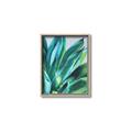 Picture of Extreme Succulent _GroupedProduct_Rectangle_Portrait_Canvas_Framed_