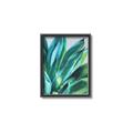 Picture of Extreme Succulent _GroupedProduct_Rectangle_Portrait_Canvas_Framed_