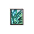 Picture of Extreme Succulent _GroupedProduct_Rectangle_Portrait_Canvas_Framed_