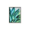 Picture of Extreme Succulent _GroupedProduct_Rectangle_Portrait_Canvas_Framed_