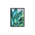 Picture of Extreme Succulent _GroupedProduct_Rectangle_Portrait_Canvas_Framed_