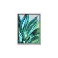 Picture of Extreme Succulent _GroupedProduct_Rectangle_Portrait_Canvas_Framed_
