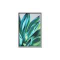 Picture of Extreme Succulent _GroupedProduct_Rectangle_Portrait_Canvas_Framed_