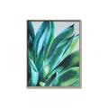 Picture of Extreme Succulent _GroupedProduct_Rectangle_Portrait_Canvas_Framed_