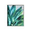 Picture of Extreme Succulent _GroupedProduct_Rectangle_Portrait_Canvas_Framed_