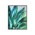 Picture of Extreme Succulent _GroupedProduct_Rectangle_Portrait_Canvas_Framed_