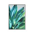 Picture of Extreme Succulent _GroupedProduct_Rectangle_Portrait_Canvas_Framed_