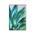 Picture of Extreme Succulent _GroupedProduct_Rectangle_Portrait_Canvas_Framed_