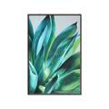 Picture of Extreme Succulent _GroupedProduct_Rectangle_Portrait_Canvas_Framed_