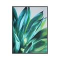 Picture of Extreme Succulent _GroupedProduct_Rectangle_Portrait_Canvas_Framed_