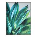 Picture of Extreme Succulent _GroupedProduct_Rectangle_Portrait_Canvas_Framed_