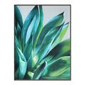 Picture of Extreme Succulent _GroupedProduct_Rectangle_Portrait_Canvas_Framed_
