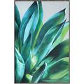 Picture of Extreme Succulent _GroupedProduct_Rectangle_Portrait_Canvas_Framed_