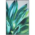 Picture of Extreme Succulent _GroupedProduct_Rectangle_Portrait_Canvas_Framed_