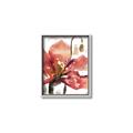 Picture of Red Poppies II _GroupedProduct_Rectangle_Portrait_Canvas_Framed_