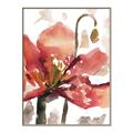 Picture of Red Poppies II _GroupedProduct_Rectangle_Portrait_Canvas_Framed_