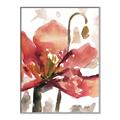 Picture of Red Poppies II _GroupedProduct_Rectangle_Portrait_Canvas_Framed_