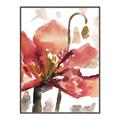Picture of Red Poppies II _GroupedProduct_Rectangle_Portrait_Canvas_Framed_